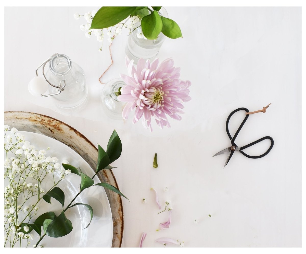 Garden Scissors - celina mancurti - scissors - -iron