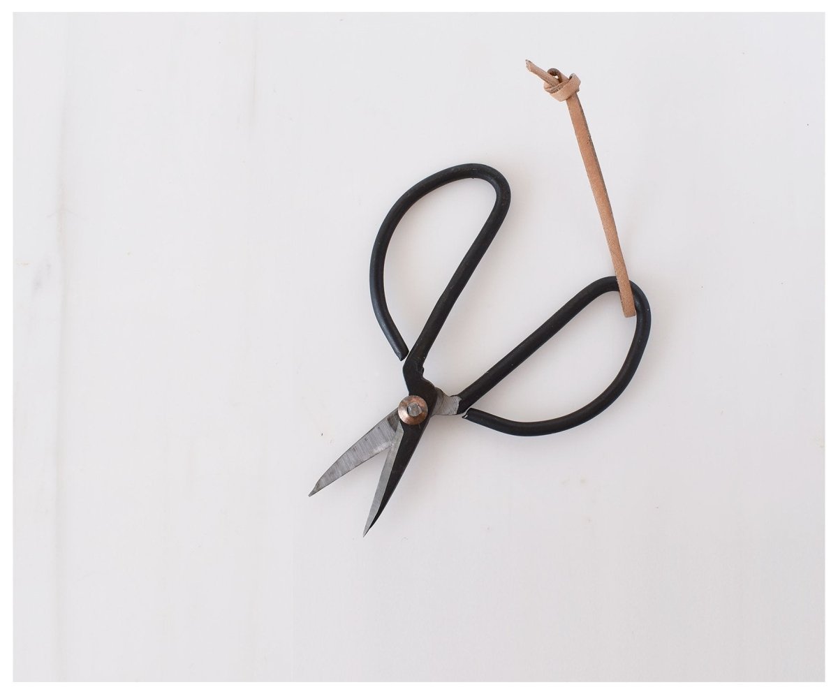 garden scissors large Garden Scissors. Iron – celina mancurti