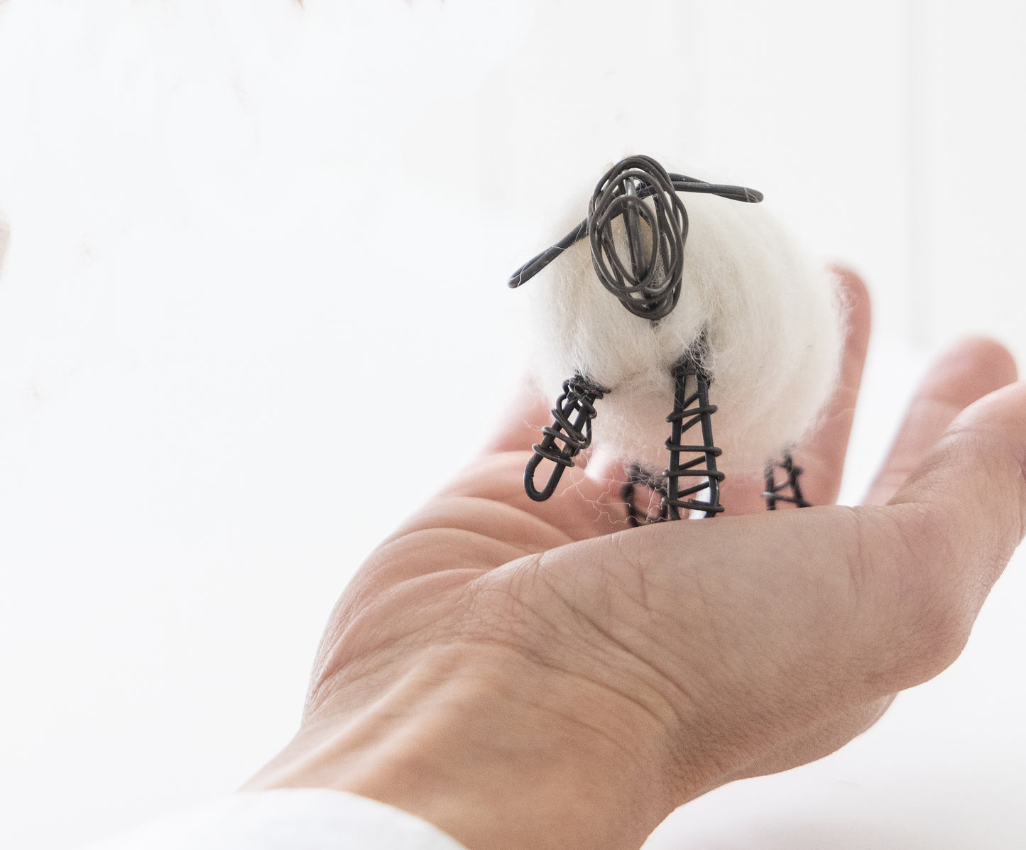 Borrego de la Fortuna – A Symbol of Prosperity