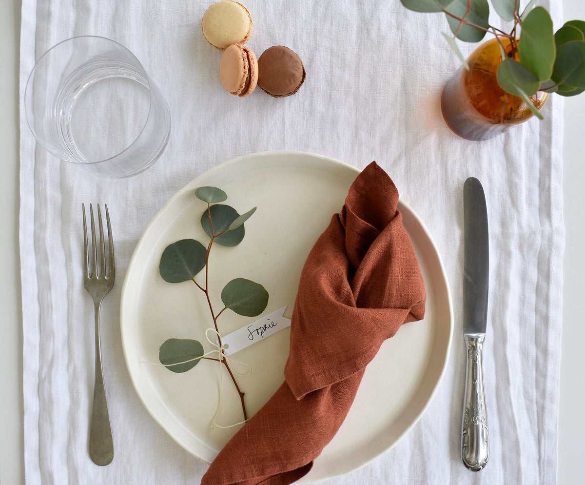 FINAL SALE- Terracota Linen Napkins -Set of 2