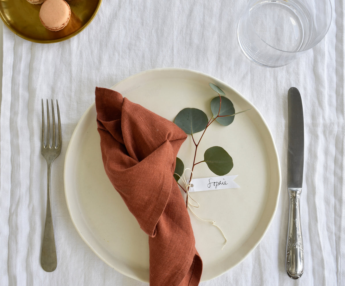 FINAL SALE- Terracota Linen Napkins -Set of 2
