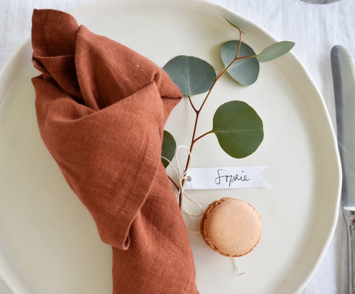 FINAL SALE- Terracota Linen Napkins -Set of 2