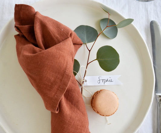 FINAL SALE- Terracota Linen Napkins -Set of 2
