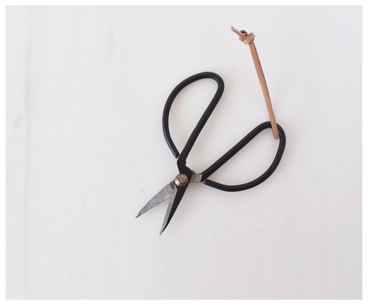 Garden Scissors - celina mancurti - scissors - -iron
